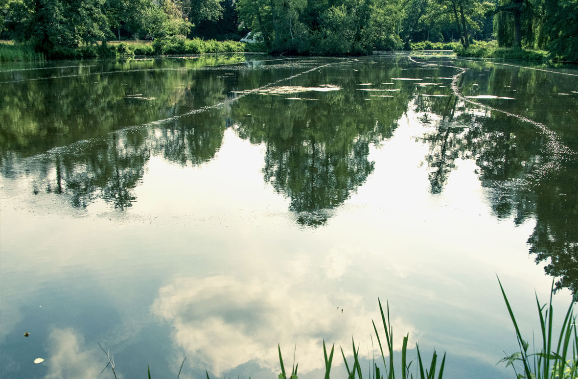 Berlin Südparkteich lineare Belüftung Entschlammung