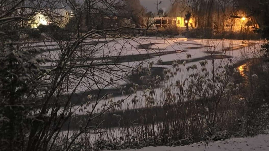 Russenweiher Speyer im Januar 2025