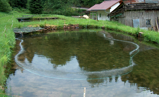 Les petits et grands étangs de pêche peuvent être aérés, quelle que soit la taille ou la profondeur du plan d'eau.
