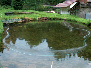 Der kleine Teich an der Fischerhütte wird durch das Drausy® System belüftet. Trotz niedrigem Wasserstand können die Fische bei erhöhten Temperaturen im Sommer überleben.