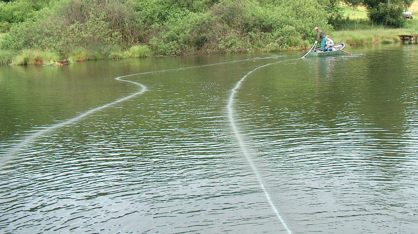 On voit deux lignes d'aération à la surface de l'eau - c'est le système d'aération Drausy® qui vient d'être posé. En arrière-plan, on reconnaît un bateau à rames - il est utilisé pour la pose.