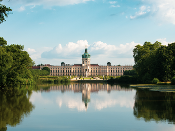 Gesunder Teich mit In Situ Technologie