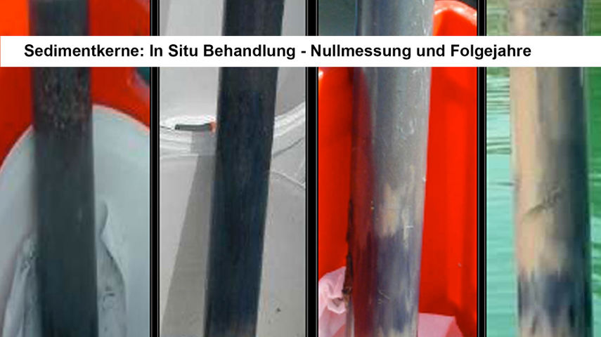 Sedimentkerne im Zeitverlauf: Organik wird abgebaut
