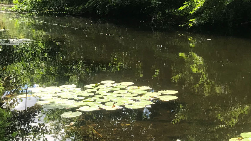 Luftaustritt kommt aus der Sedimentbehandlung unter Wasser