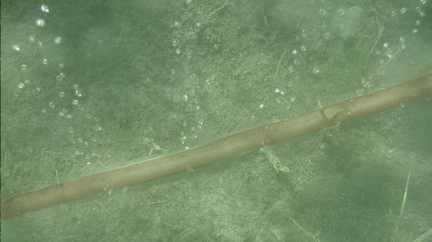 Luftaustritt unter Wasser