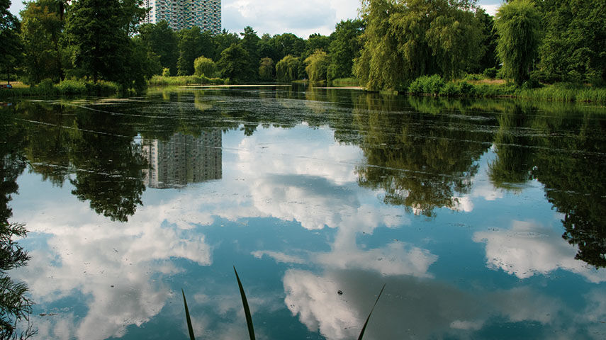 Stadtteich: Blasenspur auf Teichfläche - Wolken spiegeln sich