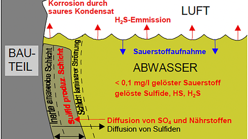 Schematische Darstellung der Prozesse im Abwasserkanal: Darstellung aerober Zustand - Seit der Belüftung mit Drausy ist das Geruchsproblem behoben.