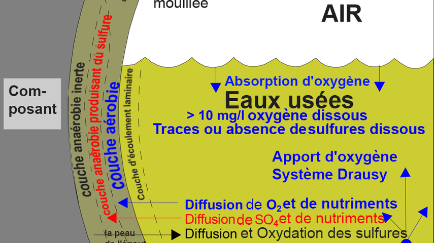 Représentation schématique des processus dans les égouts : Représentation de l'état aérobie - Depuis l'aération avec Drausy, le problème des odeurs est résolu.