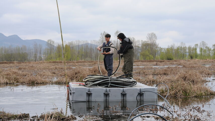 Two workers stand on a pontoon and lay out Drausy® Professional aeration sections. Environment: Wetland area of Lake Caohai