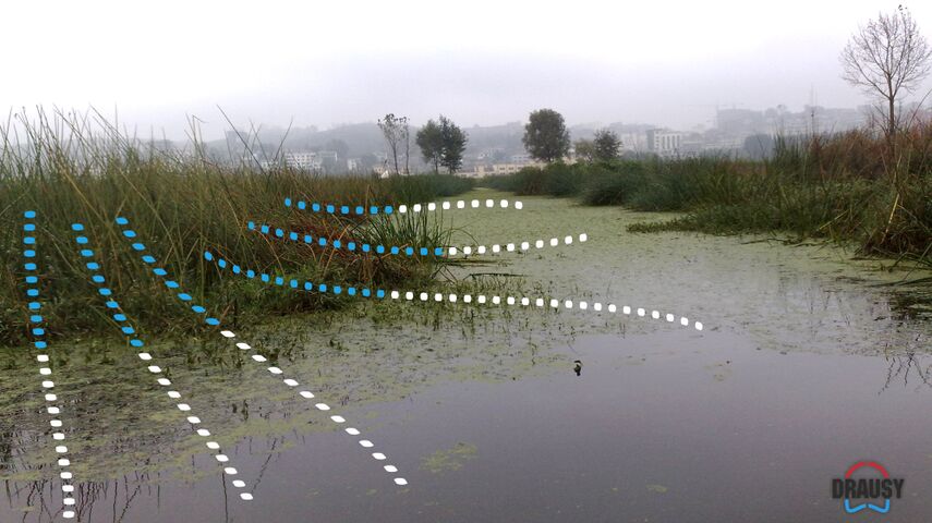 Im Wetland gibt es sowohl Kanäle als auch amorphe Inseln - das Drausy® Belüftungssystem passt sich der Umgebung an, da es linear verlegt wird. Hier zu sehen die Verlegestrecke als gepunktete Linie auf der Wasseroberfläche