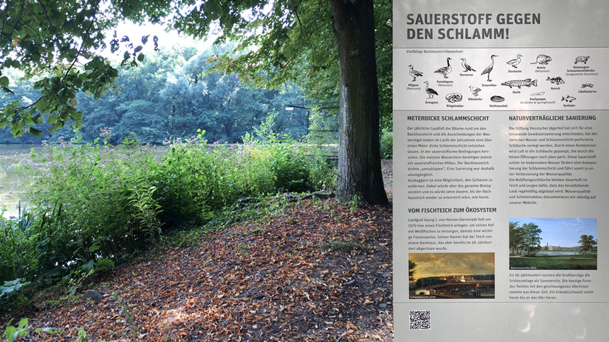 Vue sur l'étang du pavillon de chasse Kranichstein Darmstadt avec panneau d'information au premier plan