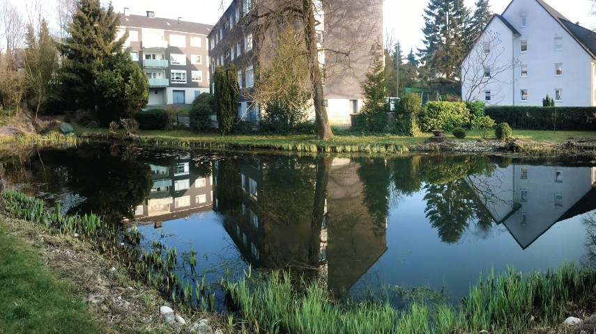 Vue sur un étang naturel dans un complexe résidentiel - le biotope unique de l'étang est maintenu en équilibre par l'aération Drausy®.