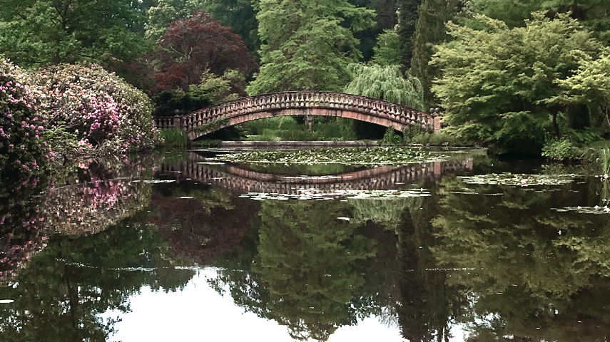 View of the pond complex at Wolfsgarten Castle - clearly visible: the aeration track - the bridge can be seen in the background.