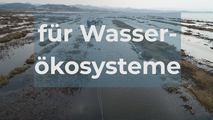anaerobe Zustände im Gewässer