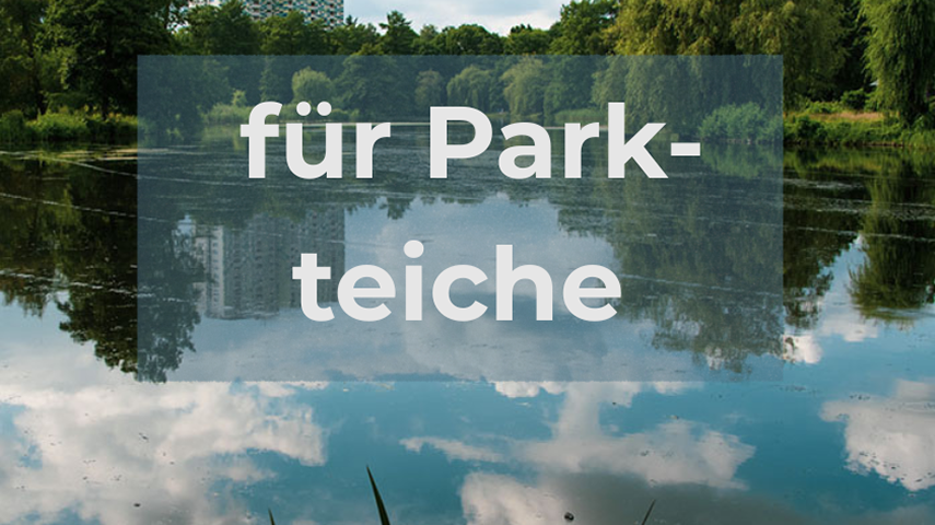 Verteilerlinie auf Rolle