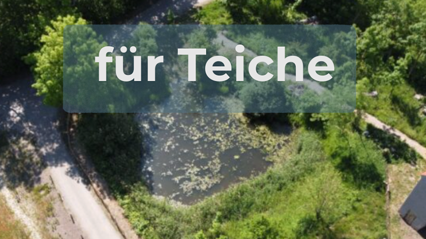 kleiner Dorfteich