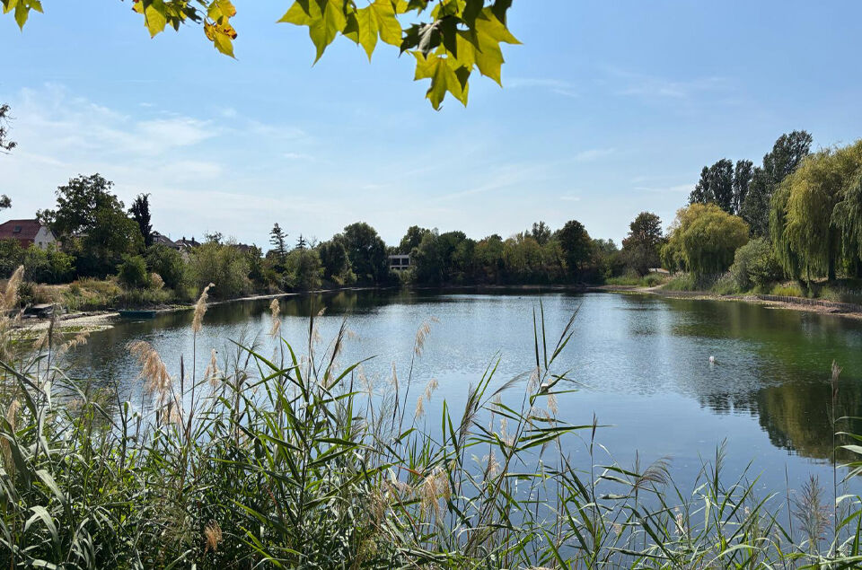 Speyer Russenweiher im August 2026
