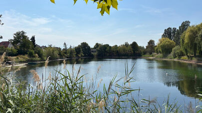 Speyer Russenweiher im August 2026