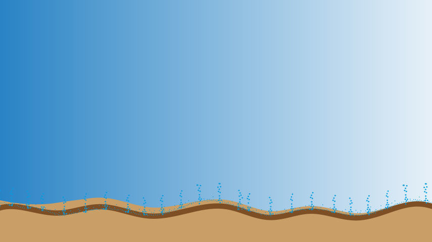 Belüftung an der Grenzschicht zwischen Sediment und Wasserkörper