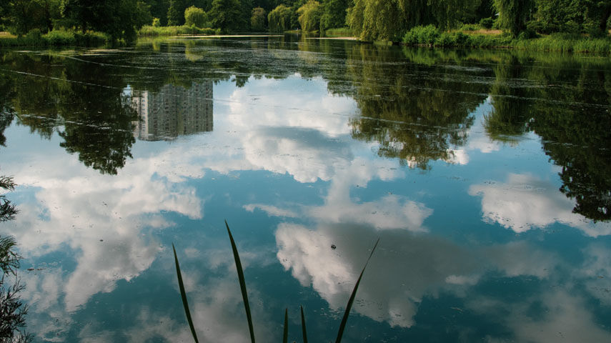 Blasenspur auf Teich - Wolken spiegeln sich