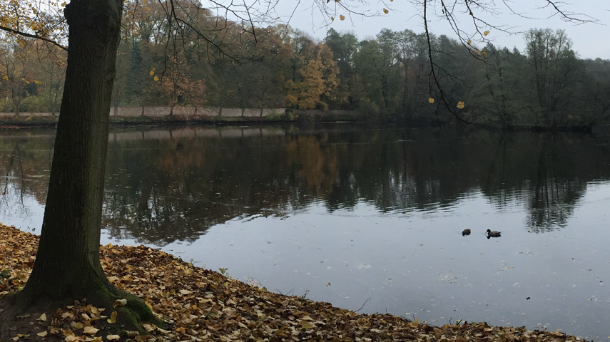 View of Backhausteich pond at Jagdschloss Kranichstein Darmstadt with aeration track