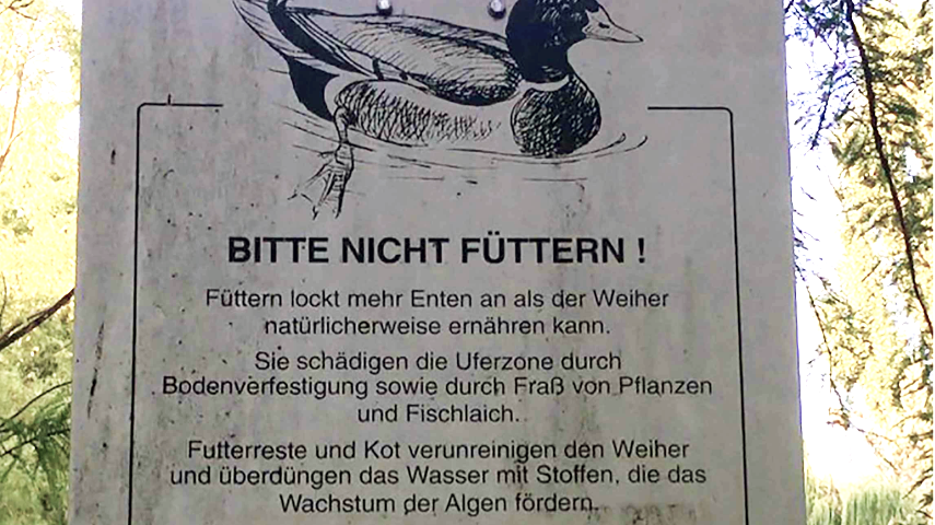 Detail of Deidesheim information board: Please do not feed! - the drawing of a duck can be seen