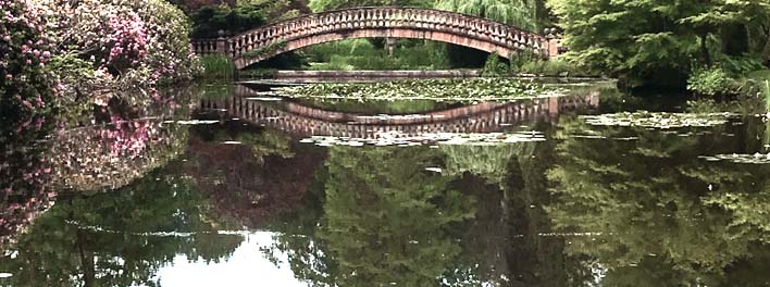 L'étang de jardin, un bijou dans la nature avec Drausy aeration