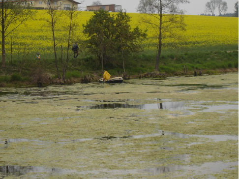 Étang avant Drausy traîtement  Mai 2011