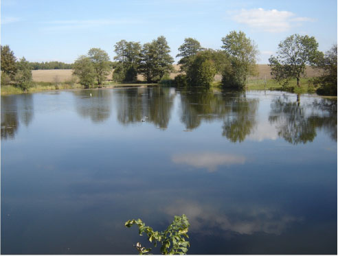 Étang après Drausy traîtement September 2011